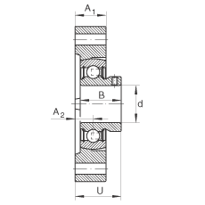軸承座單元 FLCTEY20, 帶兩個螺栓孔的法蘭的軸承座單元，鑄鐵， 內圈帶平頭螺釘， P 型密封，無再潤滑結構